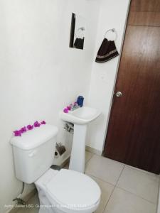 ein Badezimmer mit Toilette und Waschbecken in der Unterkunft Casa Bellas Artes de 2 pisos en Fracc Privado in Irapuato