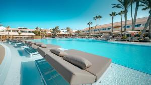 ein großer Swimmingpool mit Liegestühlen und Palmen in der Unterkunft HD Lobos Natura Fuerteventura in Corralejo