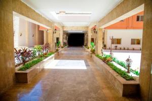 Banī Ghālibにあるكمبوند دلتا ستارزの壁に植物を施した建物内廊下