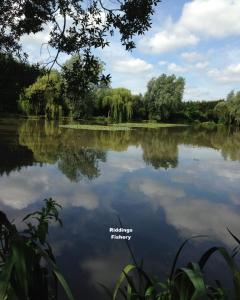 a view of a lake with trees and clouds at Data House Apartments TWO in Atherstone