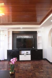 Μια τηλεόραση ή/και κέντρο ψυχαγωγίας στο Shed Residency