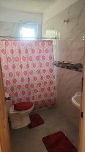 a bathroom with a toilet and a shower curtain at Kingdom Rentals - AirBnCar in Roseau