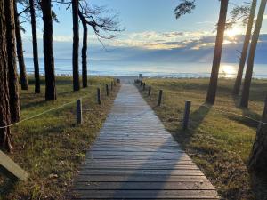 a wooden path through a field with trees at IFA Rügen Hotel & Ferienpark in Binz