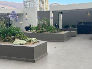 Κήπος έξω από το Departamento completo