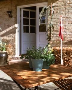 Billede fra billedgalleriet på Lindegaarden Kollund i Kruså