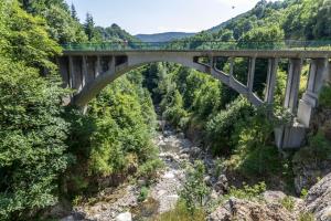 a bridge over a river with people walking on it at Gîte de NOE au Ray-pic in Péreyres +9 photos