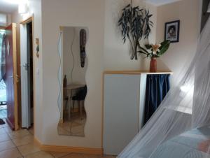 a room with a mirror and a table with a plant at Studio Le Balisier in Caritan