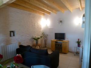 ein Wohnzimmer mit Sofa und Fernseher in der Unterkunft Gite L'Etable in Saint-Hilaire-la-Palud