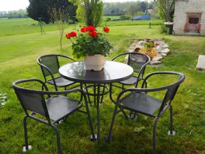 ein Tisch und Stühle mit einem Blumentopf darauf in der Unterkunft Gite L'Etable in Saint-Hilaire-la-Palud