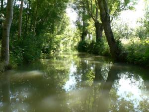 ein Fluss mit Bäumen am Ufer in der Unterkunft Gite L'Etable in Saint-Hilaire-la-Palud