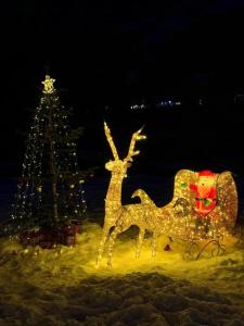 梅斯蒂亚WinterFell Mestia的圣诞装饰，包括驯鹿和圣诞树。