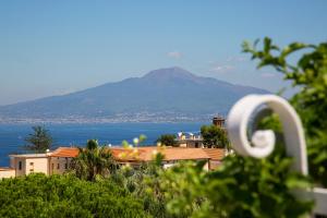 a view of a mountain with the ocean and buildings at Hotel Crawford in Sant'Agnello