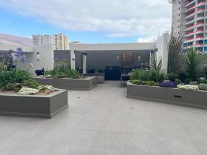 einen Innenhof mit Pflanzen und Blumen in einem Gebäude in der Unterkunft Departamento completo in Iquique
