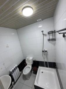 een badkamer met toilet en wastafel bij Amiriy hostel in Bukhara +16 foto's