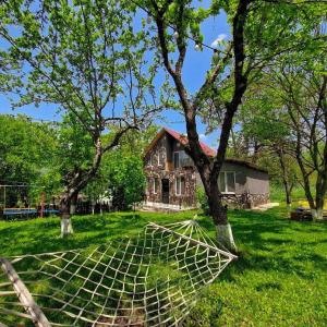 Zahrada ubytování Bacho's cottages Mzetamze - cozy mountain retreat