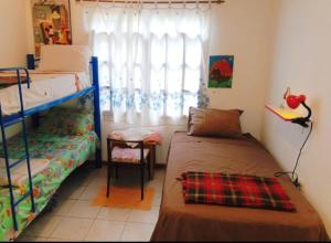 a bedroom with two bunk beds and a window at Bosque de Ángeles in Buena Vista