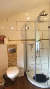 a bathroom with a toilet and a glass shower at Ferienhaus Ulla in Reit im Winkl