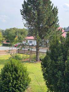 Ein Baum in einem Garten mit einem Zaun und einem Haus in der Unterkunft Ferienwohnung Fichtel-STEIN in Fichtelberg