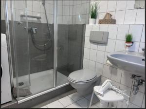 a bathroom with a shower and a toilet and a sink at Ferienwohnung Karma in Kressbronn am Bodensee +14 photos