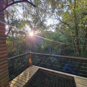 ein Balkon, durch dessen Bäume die Sonne scheint in der Unterkunft Squirrels Rest Treetop Glamping in Knysna