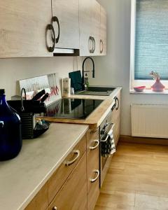 Kuchyň nebo kuchyňský kout v ubytování Apartment im Grünen -Garden