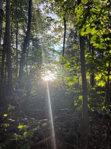 Fotografie z fotogalerie ubytování Apartment im Grünen -Garden v destinaci Chemnitz + 14 fotografií