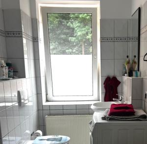 a bathroom with a window and a sink at Apartment im Grünen -Garden in Chemnitz