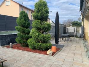 a patio with two christmas trees in a yard at Klimatisierte Ferienwohnung in Balingen
