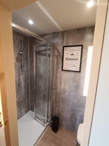 eine Dusche mit Glastür im Badezimmer in der Unterkunft Bramley Shepherds Hut - Whimple in Whimple + 17 Fotos