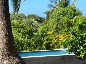 Πισίνα στο ή κοντά στο O Ti Boneur