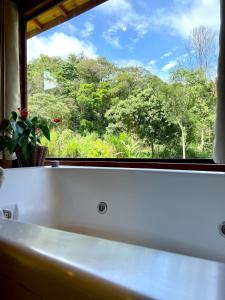 een bad voor een raam met uitzicht bij Refúgio com Hidro, Lareira, Café da Manhã e Vista da Natureza in Santo Antônio do Pinhal