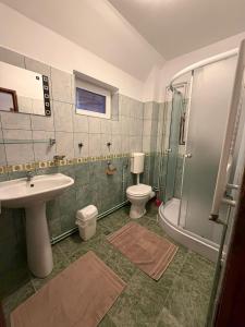 a bathroom with a sink and a toilet and a shower at Casa Jianu in Ranca +5 photos