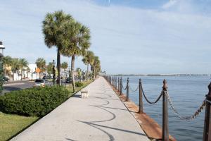 einen Bürgersteig neben dem Wasser mit Palmen in der Unterkunft Long Time No Sea! Direct OCEANFRONT Condo - End Unit Double Ocean View - Crescent Beach, Saint Augustine Florida in Crescent Beach