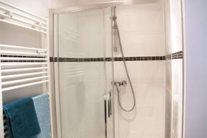 eine Dusche im Bad mit einer Duschkabine aus Glas in der Unterkunft Apartment Huglgasse in Wien
