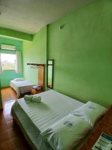 a bedroom with two beds and a green wall at Hotel Chalé Ji-Parana in Ji-Paraná