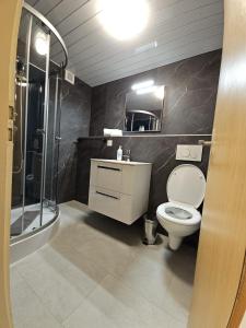Un baño con inodoro, lavabo y ducha. en Apartment Eiger - Aare Jungfrau AG, en Grindelwald