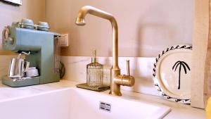 eine Küchentheke mit einer Spüle und einem Mixer in der Unterkunft CoCo Cabin Luxe Tiny House - Privé Hottub - Strand & zwemvijver - Privacy in Woudenberg + 39 Fotos