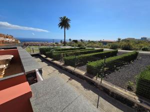 Blick auf einen Garten mit einer Palme und das Meer in der Unterkunft VV Zumacal La Palma in San Antonio