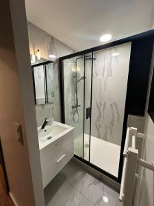 a bathroom with a shower and a white sink at Djokovic Colmar in Colmar