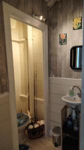 ein Badezimmer mit Toilette und Waschbecken in der Unterkunft À louer Charmant T2 en rez-de-chaussée à Châteaumeillant in Châteaumeillant