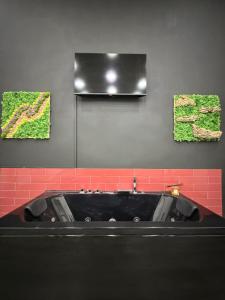 Μια τηλεόραση ή/και κέντρο ψυχαγωγίας στο balbisoftroom