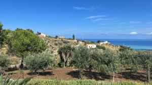 a hill with trees and the ocean in the background at A Casuzza di Poggio Scopello in Scopello