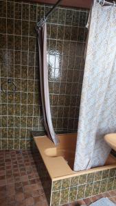 une douche dans une salle de bain carrelée avec un rideau de douche dans l'établissement Apartment with a fireplace, à Saint-Wendel