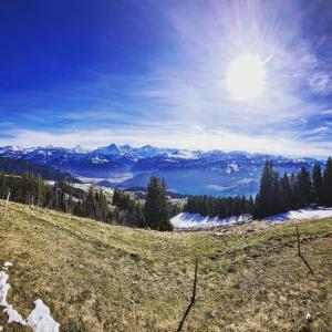 Φυσικό τοπίο κοντά σε αυτό το διαμέρισμα