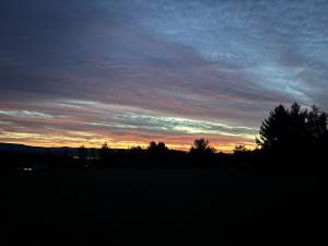 a sunset in a field with trees in the foreground at Políčko in České Budějovice +8 photos