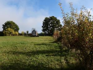 a grassy field with a barn in the background at Políčko in České Budějovice