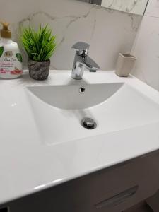 een witte wastafel met een kraan en een plant bij President 59 in Craiova +3 foto's