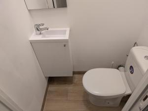 a bathroom with a white toilet and a sink at Duplex 3BR apartment near supermarkets & metro in Brussels