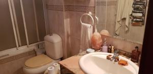 a bathroom with a sink and a toilet and a mirror at Apto Templo de Isis, Habitación Verde en Amate in Seville +12 photos