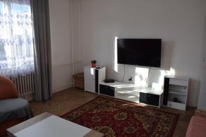 TV a/nebo společenská místnost v ubytování DáMa